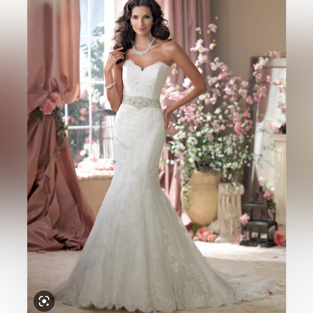 David Tutera 114274